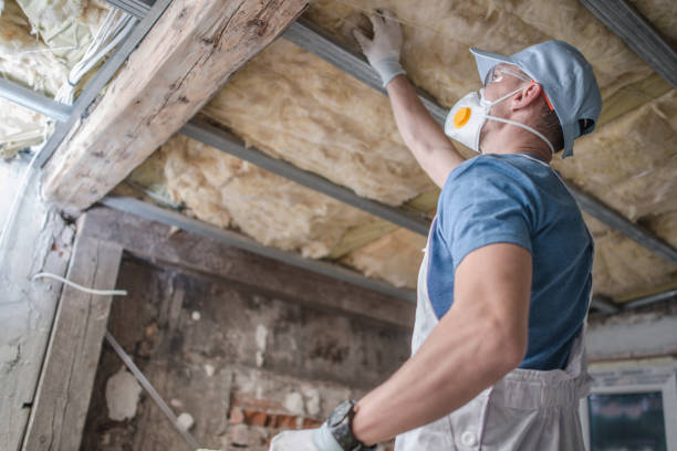 Best Commercial Insulation in Strasburg, VA
