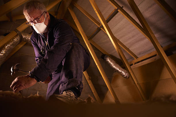 Best Insulation Maintenance and Repair in Strasburg, VA